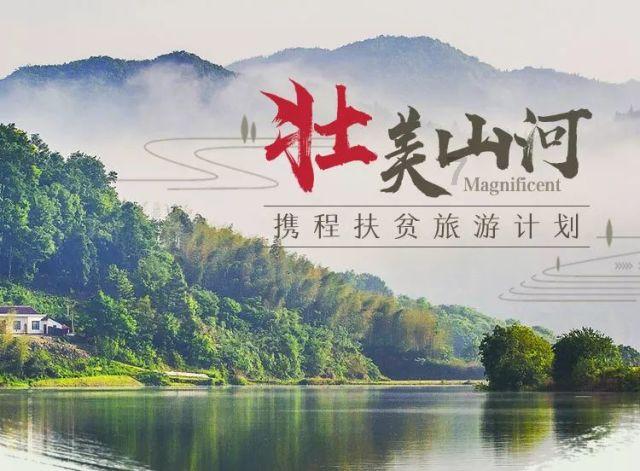 动物帮帮忙保卫家园